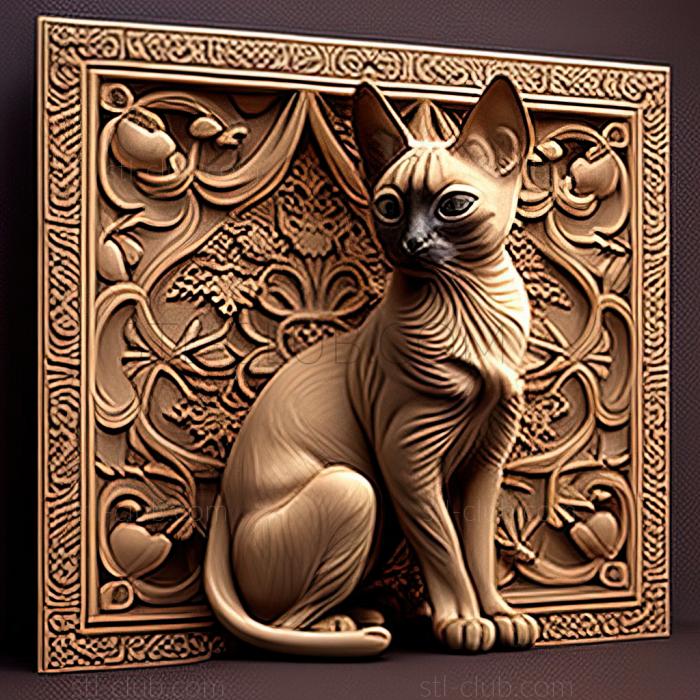 st Traditional Siamese cat